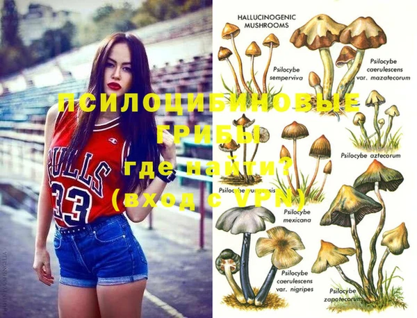 дживик Беломорск