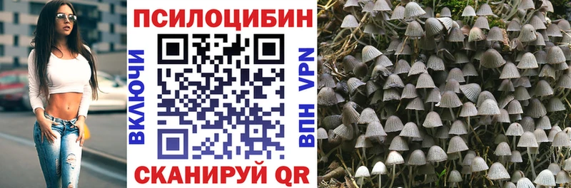 Галлюциногенные грибы мухоморы  кракен как войти  Кондрово 