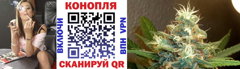 Бошки марихуана MAZAR как найти Кондрово